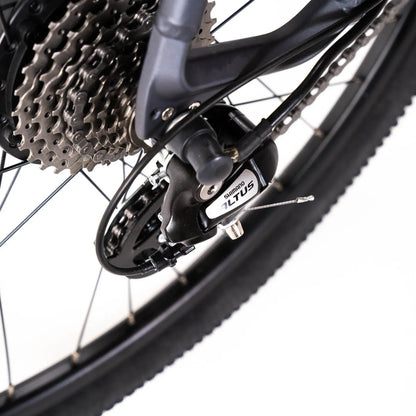 Tiger Rear Hub eBike